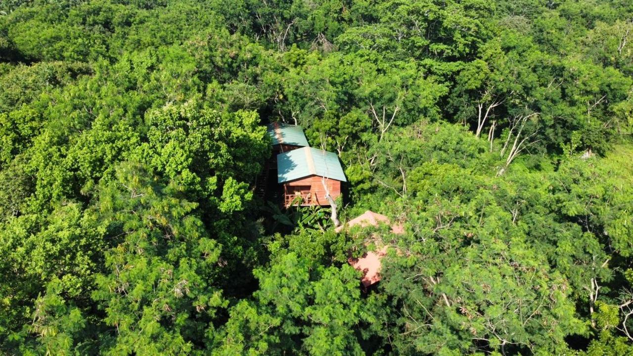 Tree House Hostel Sigiriya Eksteriør billede
