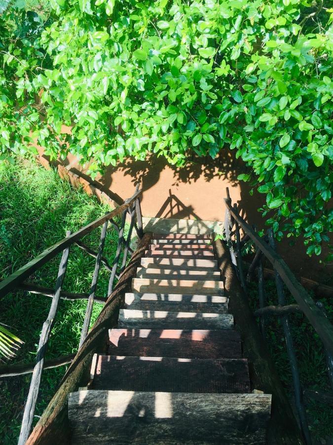 Tree House Hostel Sigiriya Eksteriør billede