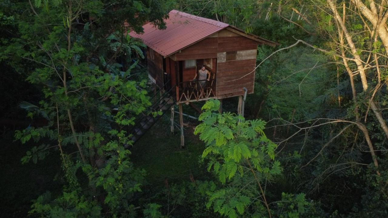 Tree House Hostel Sigiriya Eksteriør billede
