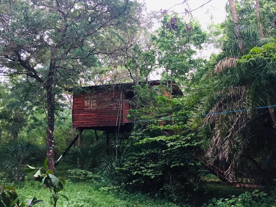 Tree House Hostel Sigiriya Eksteriør billede
