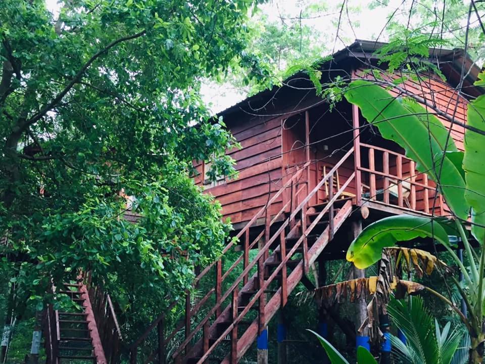 Tree House Hostel Sigiriya Eksteriør billede