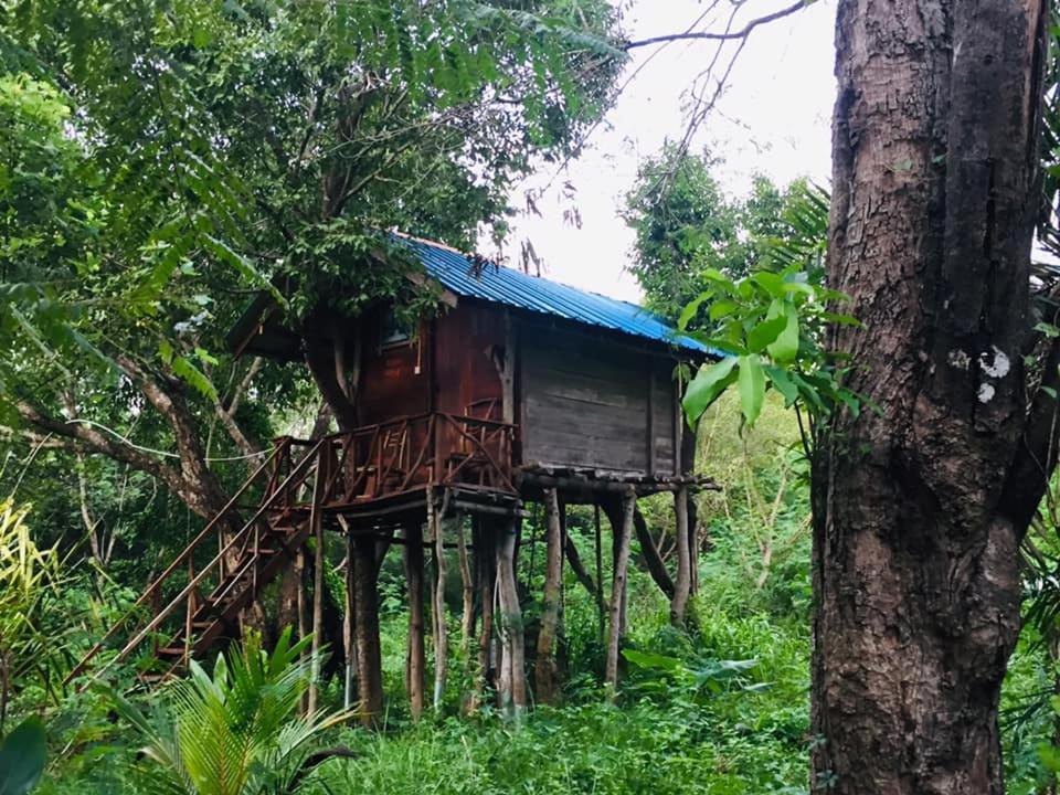 Tree House Hostel Sigiriya Eksteriør billede